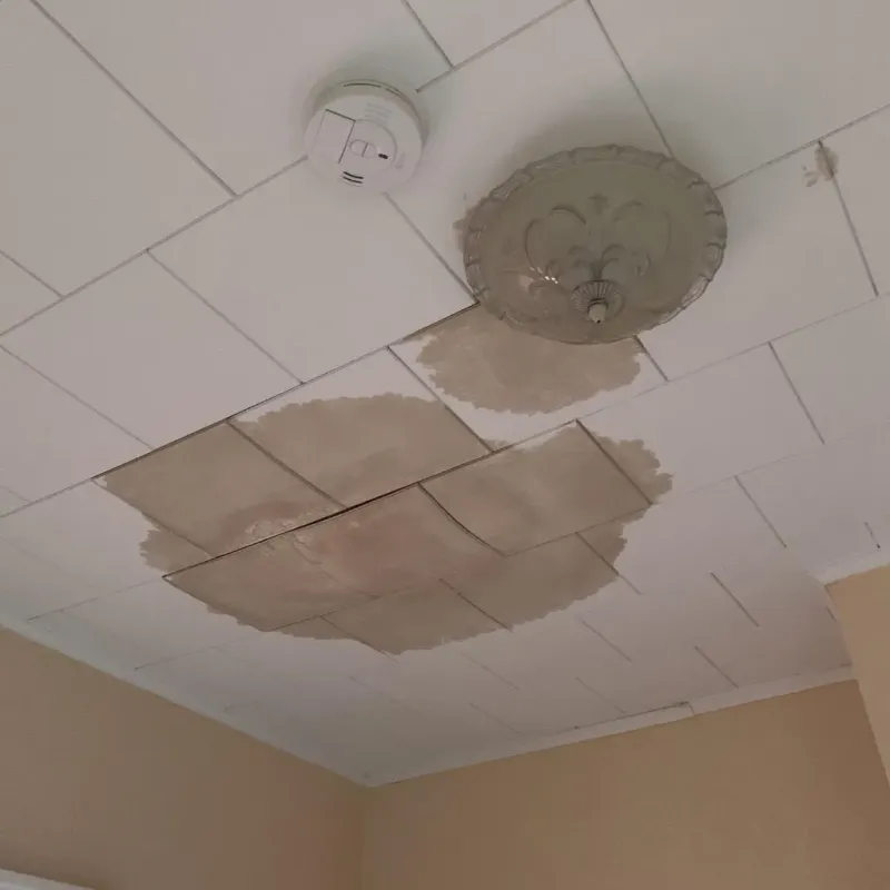 Ceiling Water Damage Repair in Nassau, NY