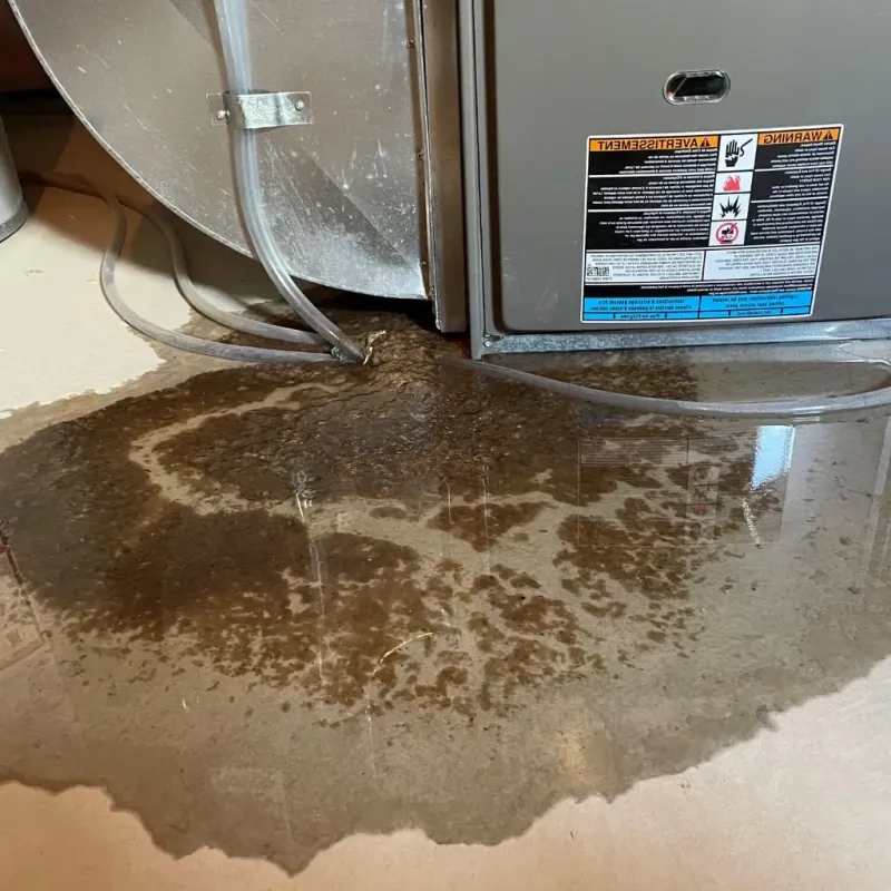Pipe Burst and Leak Restoration in Nassau, NY